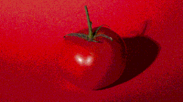 tomato GIF