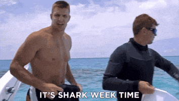 new england patriots bikini GIF by Shark Week
