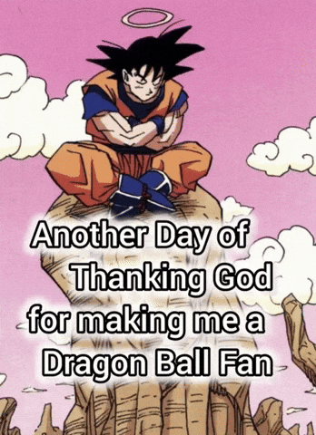 Dragon Ball Z Dbs GIF