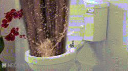 giphy.gif?cid=3640f6095bec7be0444f48416b