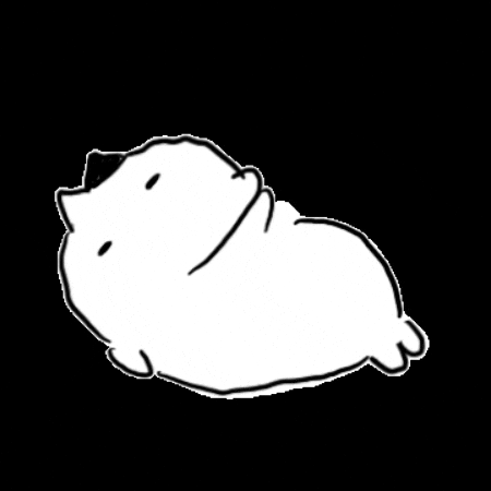 Cat 냥이 GIF