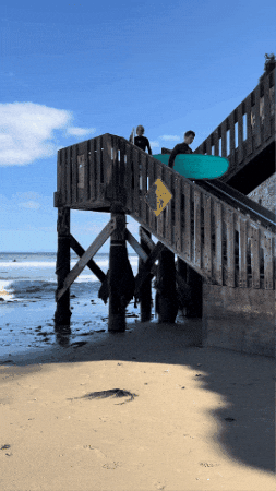 Surf Ucsb GIF by UC Santa Barbara