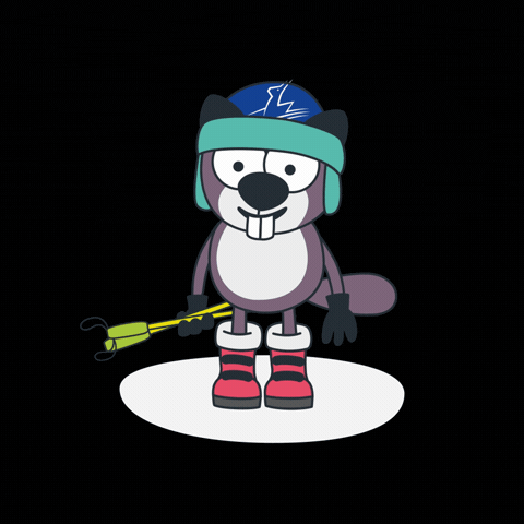 Kids Ski GIF by Grandvalira