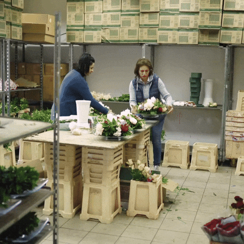 Local Business Abbotsford GIF by Oi