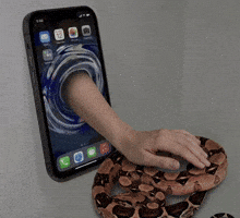 Cat Snake GIF