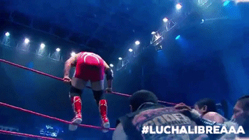 aaa worldwide mexico GIF by Lucha Libre AAA