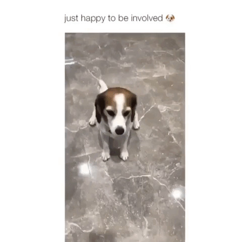 Geanimeerde GIF - Zoek & Deel op GIPHY