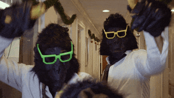 Excited Monkey Business GIF by XRay.Tech