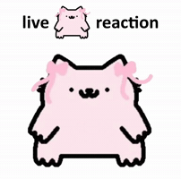 Spainnubcat GIF