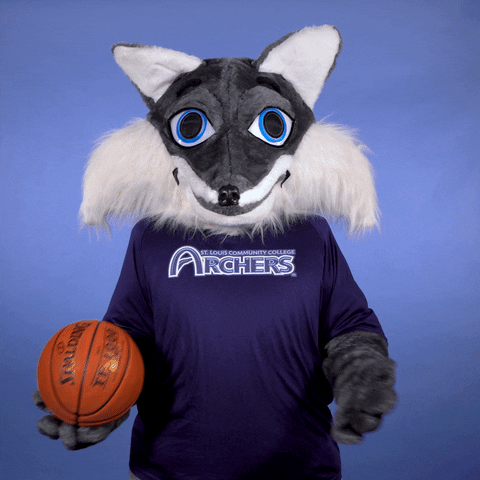 Basketball Ball GIF by St. Louis Community College