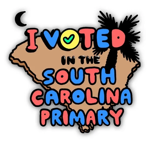 South Carolina Election GIF