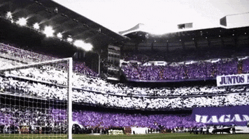 santiago bernabeu GIF by Real Madrid