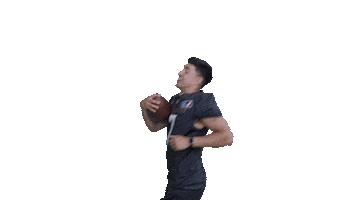 Frankfurt Galaxy Sticker