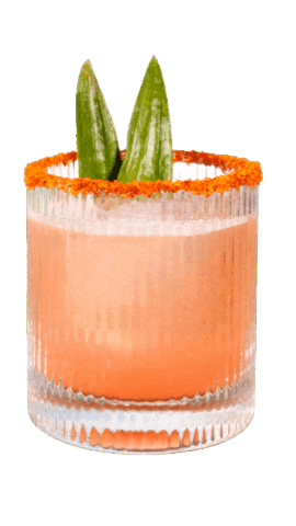 Bunny Bowl Sticker by 400 Conejos US