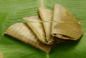 Ada Kerala GIF