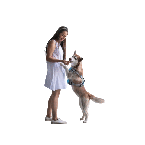 Sticker by Harshika Patel