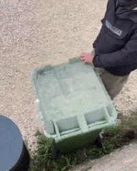 Forum-emlyon-green-tri-ecologie-5Xam1n2oLk7WrLoHV5