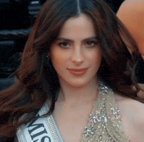 Miss Venezuela Diva GIF