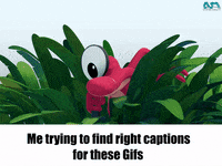 funny gifs with captions