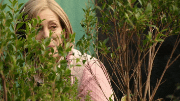 hiding neighbours tv GIF by Neighbours (Official TV Show account)