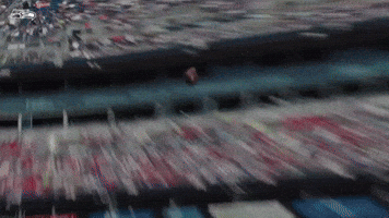 Jsn GIF