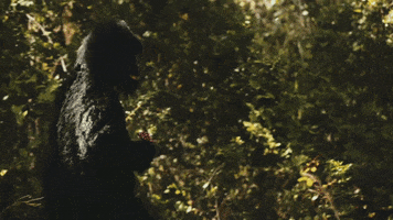 Merge Records Gorilla GIF by Spider Bags