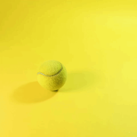 tennis stopmotion animation GIF by Evan Hilton