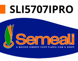 GIF by semealisementes