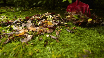 De Knoest Tuinen GIF