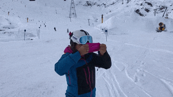 mysoggle GIF