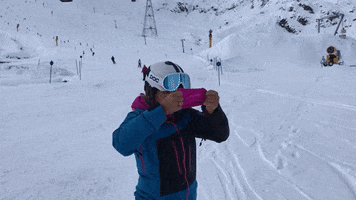 mysoggle google ski skiing skibrille GIF