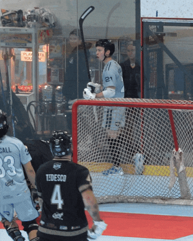 Ball Hockey Greyhounds GIF by USABH_giphy