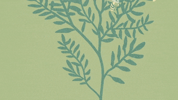 Guideki Murillocortes Bee GIF