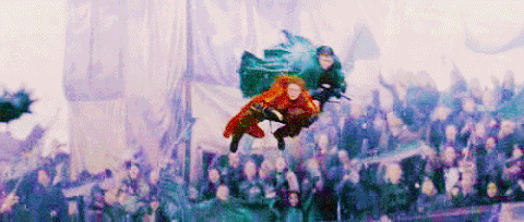 quidditch