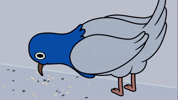 bored bird GIF by Cartoon Hangover