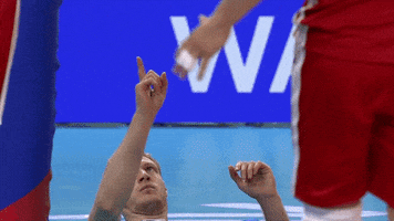No Way What GIF by Volleyball World
