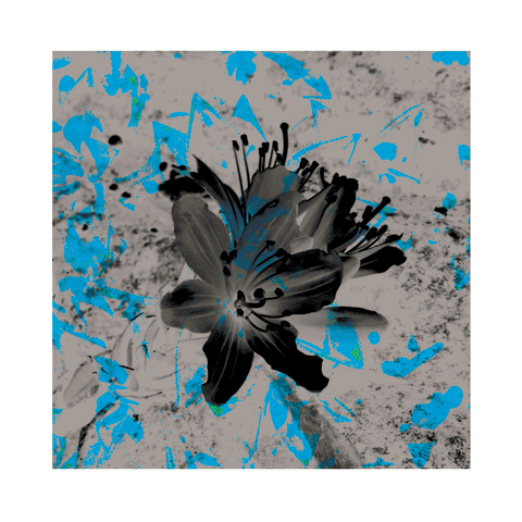 Flowers Recherche GIF