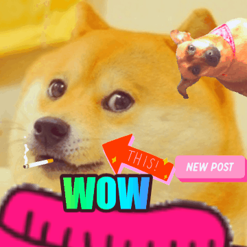 Party Doge GIF