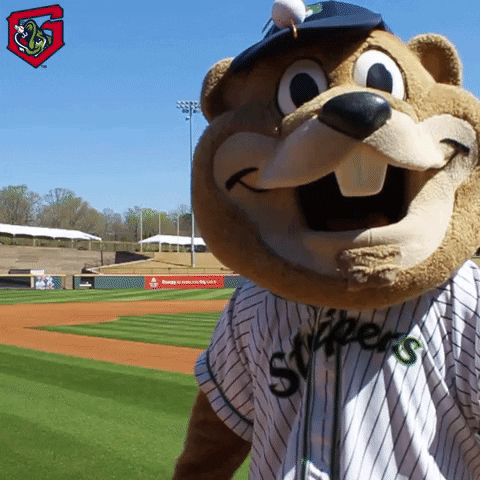 thinking know GIF by Gwinnett Stripers