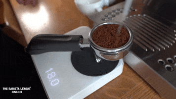 Coffee Tamp GIF by The Barista League