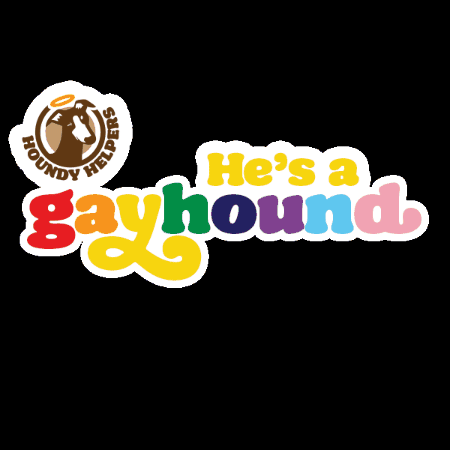 Pride Greyhound GIF by Houndy Helpers NZ