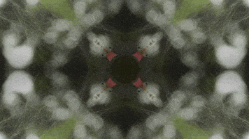 Art Film GIF by jorgemariozuleta