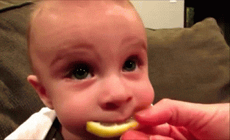 baby eating lemon gif