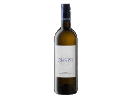 Wine Vino Sticker by Weingut Christ