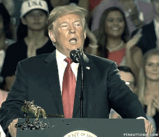 Trump Greenscreen GIF