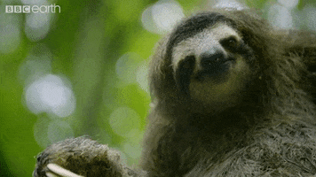 monday eat GIF by BBC Earth
