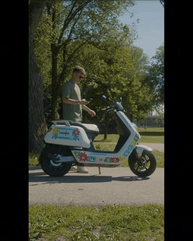 Flowers Driving GIF by Blijdorp Festival