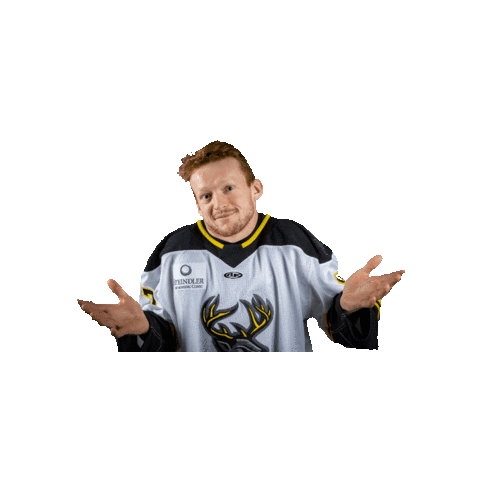 goheartlanders Sticker