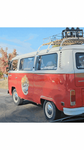 Drunk Wine GIF by vannboozy