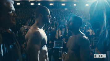 fight boxing GIF by Creed II